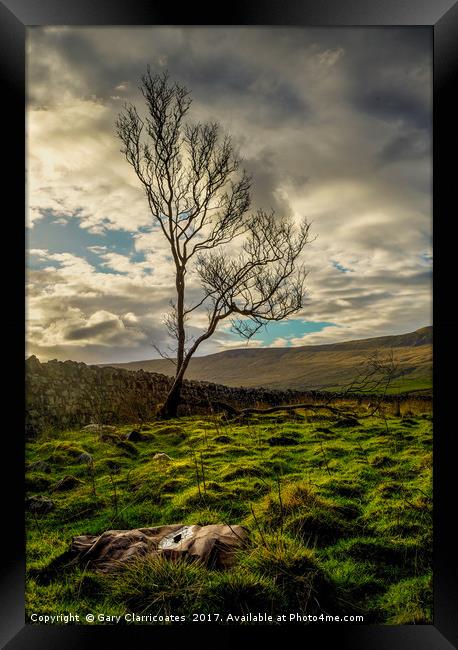 The Lone Tree Framed Print by Gary Clarricoates