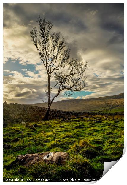 The Lone Tree Print by Gary Clarricoates