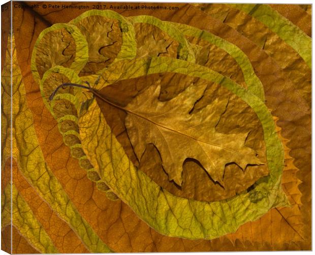 Leaf abstract Canvas Print by Pete Hemington