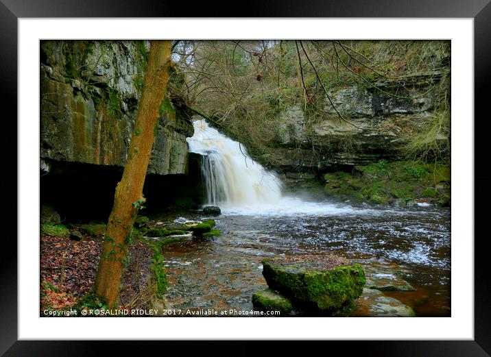 "After the rains ..the waterfall at West Burton ,  Framed Mounted Print by ROS RIDLEY
