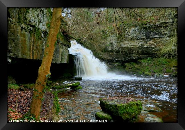 "After the rains ..the waterfall at West Burton ,  Framed Print by ROS RIDLEY