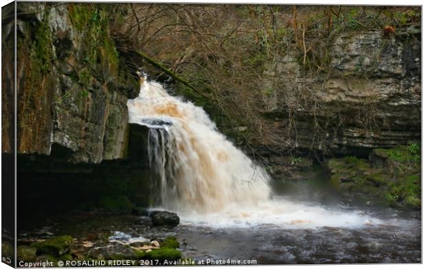 "After the rains (2) at West Burton Waterfall" Canvas Print by ROS RIDLEY