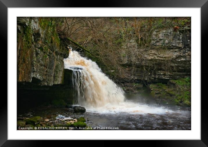 "After the rains (2) at West Burton Waterfall" Framed Mounted Print by ROS RIDLEY