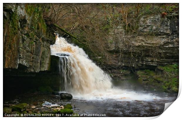 "After the rains (2) at West Burton Waterfall" Print by ROS RIDLEY