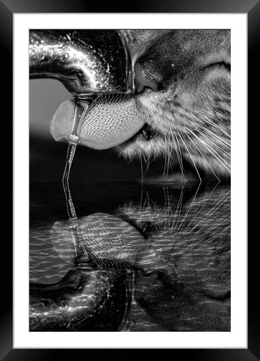 Thirsty work Framed Mounted Print by JC studios LRPS ARPS