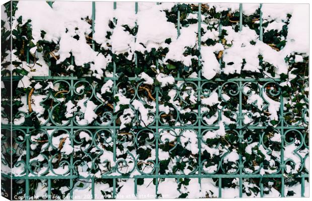 Green Vines Growing Through Steel Fence Covered In Canvas Print by Radu Bercan