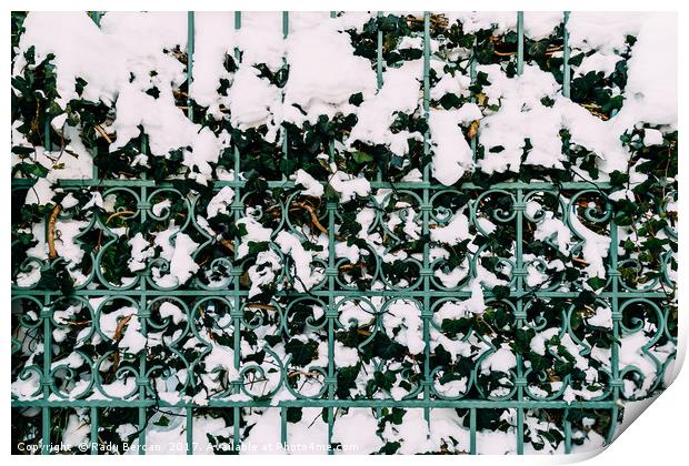 Green Vines Growing Through Steel Fence Covered In Print by Radu Bercan