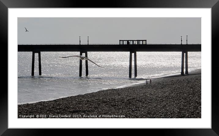 Deal Pier, Kent coastline with seagull.            Framed Mounted Print by DEE- Diana Cosford
