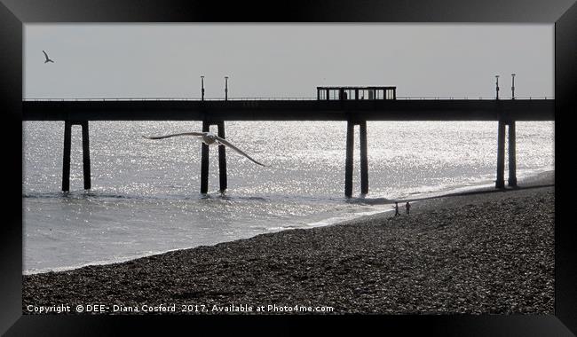 Deal Pier, Kent coastline with seagull.            Framed Print by DEE- Diana Cosford