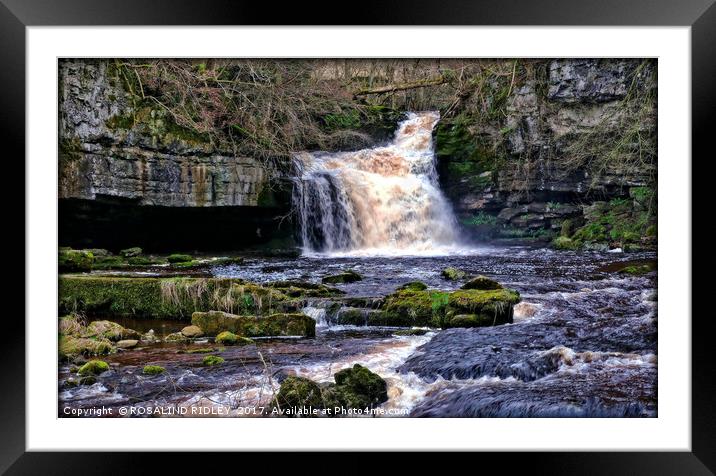 "Waterfall" Framed Mounted Print by ROS RIDLEY
