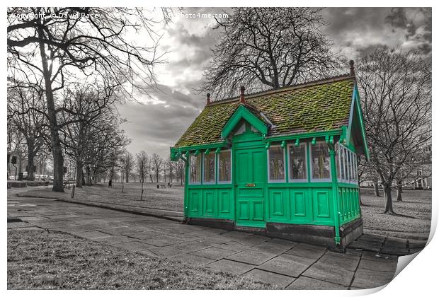 The green waiting room Print by David Pacey