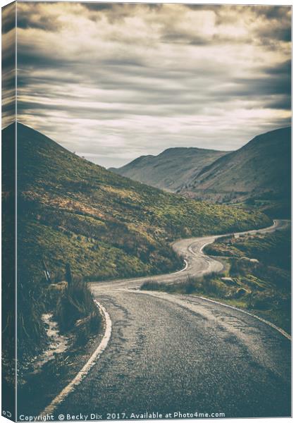 Long and Winding Road. Canvas Print by Becky Dix