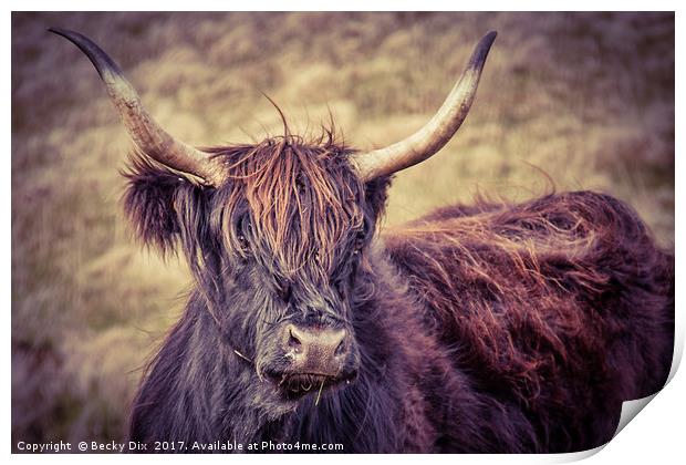 Larry the Longhorned Highland Cow! Print by Becky Dix