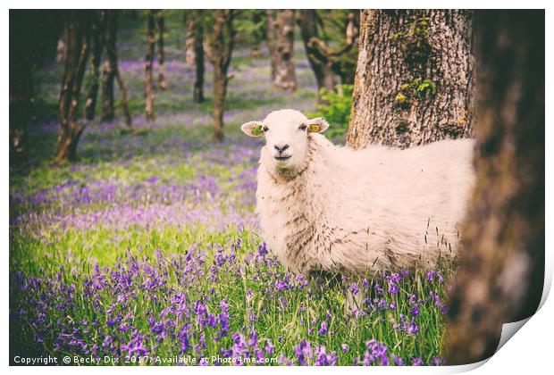 Amongst the Bluebells 2. Print by Becky Dix