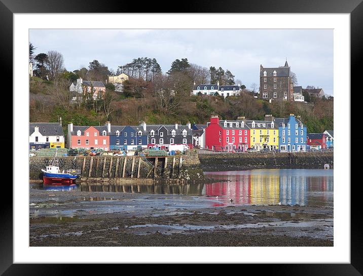 Tobermoray waterfront.  Framed Mounted Print by Lilian Marshall