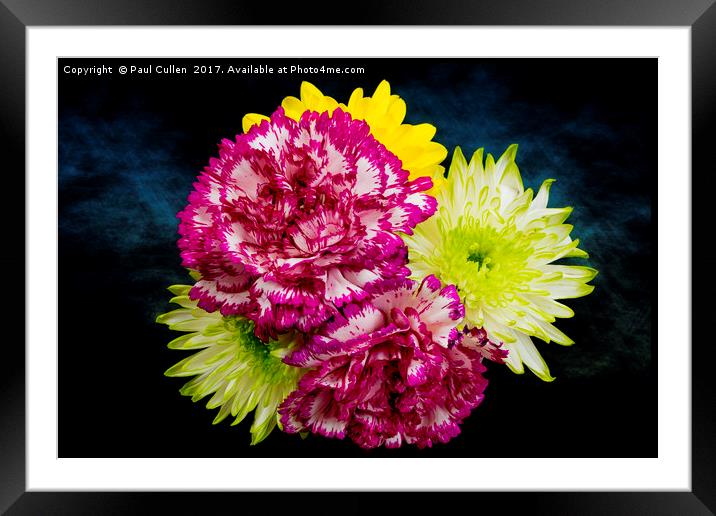 Flowers on a blue background Framed Mounted Print by Paul Cullen