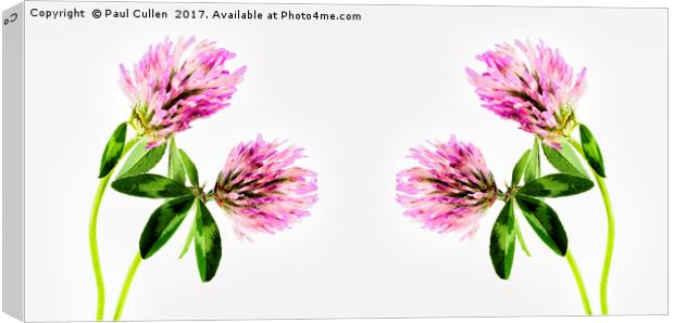 Panoramic Clover. Canvas Print by Paul Cullen