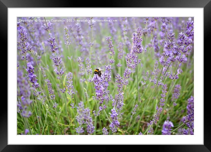 Beauty in Nature Framed Mounted Print by Graham Custance