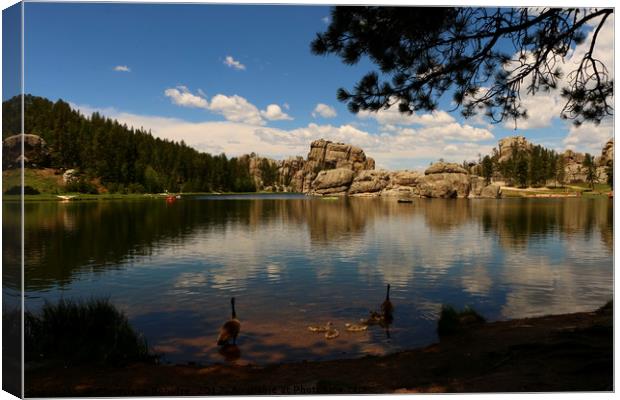 A Beautiful Day At Sylvian Lake Canvas Print by Christiane Schulze