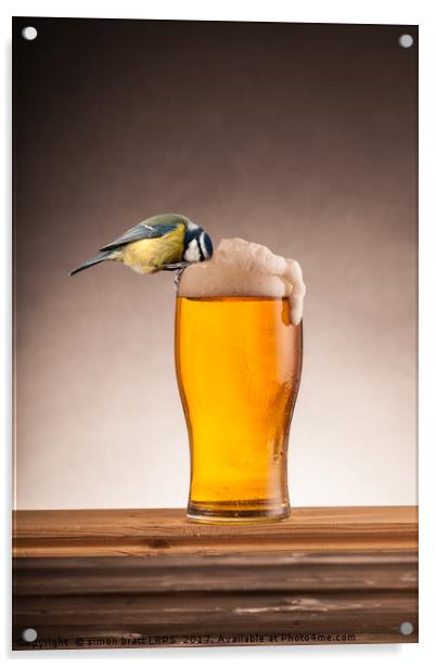 A beer for the blue tit birds Acrylic by Simon Bratt LRPS
