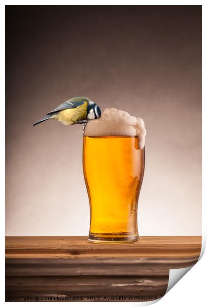 A beer for the blue tit birds Print by Simon Bratt LRPS