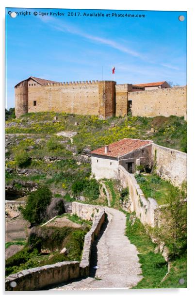 Castle wall in  Segovia Acrylic by Igor Krylov