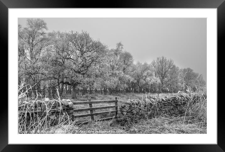 Freezing Fog in Teesdale Framed Mounted Print by AMANDA AINSLEY