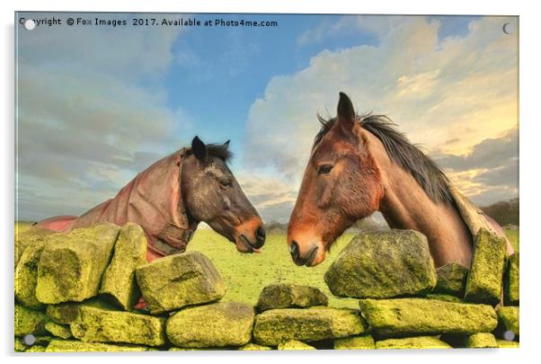 Horses on a sunny day Acrylic by Derrick Fox Lomax