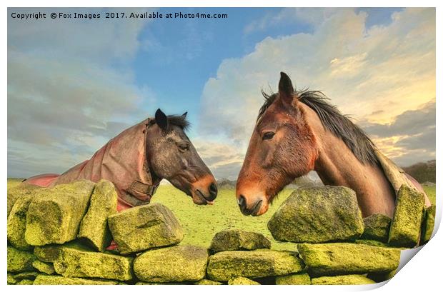 Horses on a sunny day Print by Derrick Fox Lomax