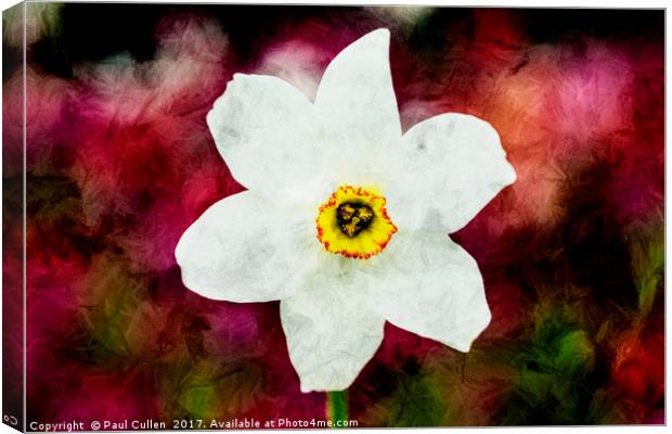 Textured Daffodil. Canvas Print by Paul Cullen