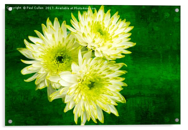 Yellow Chrysanthemums on a green background. Acrylic by Paul Cullen