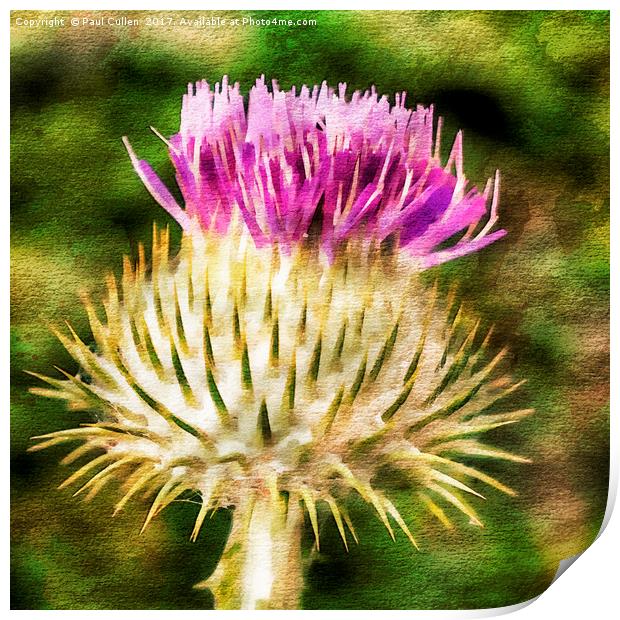 Thistle - The flower of Scotland watercolour effec Print by Paul Cullen