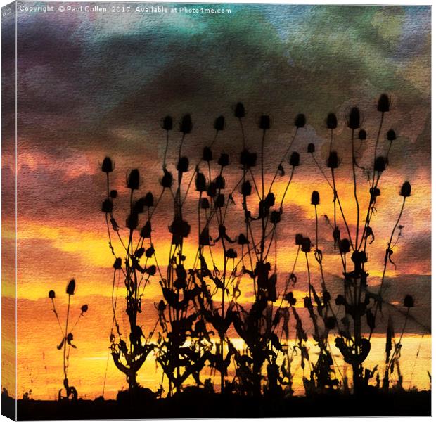 Teasels in Silhouette. Canvas Print by Paul Cullen
