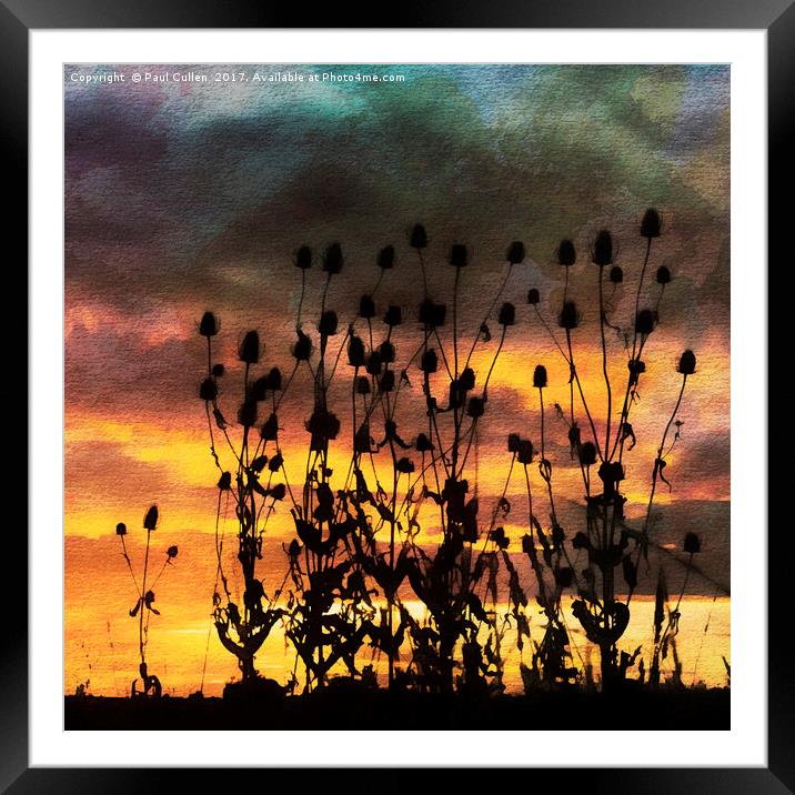 Teasels in Silhouette. Framed Mounted Print by Paul Cullen