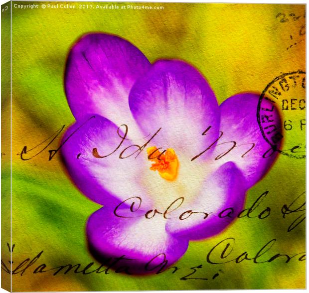 Crocus overlaid with Envelope impression. Canvas Print by Paul Cullen