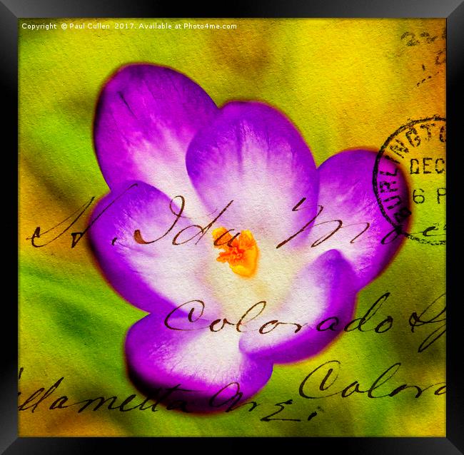Crocus overlaid with Envelope impression. Framed Print by Paul Cullen