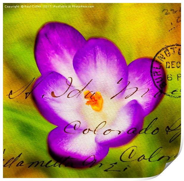Crocus overlaid with Envelope impression. Print by Paul Cullen