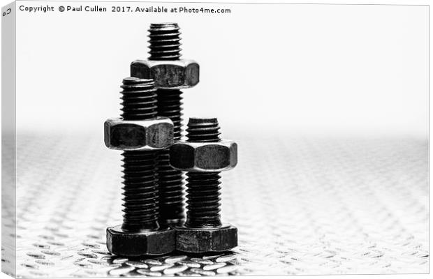 Nuts 'n Bolts Canvas Print by Paul Cullen