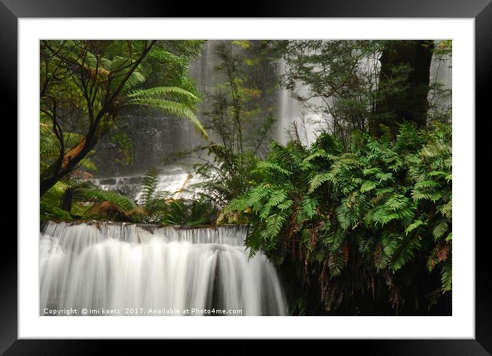 Beautiful cold Rainforest in Tasmania Framed Mounted Print by imi koetz