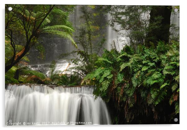Beautiful cold Rainforest in Tasmania Acrylic by imi koetz