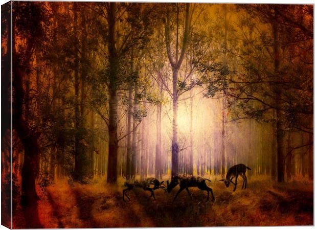 Enchanted Nighttime Rutting Deers Canvas Print by Beryl Curran