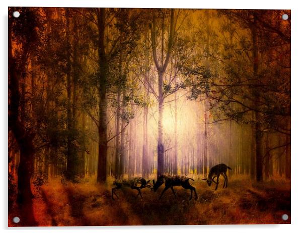 Enchanted Nighttime Rutting Deers Acrylic by Beryl Curran