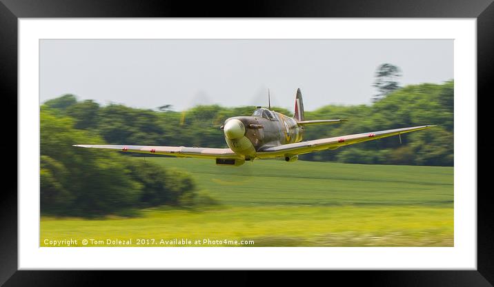 Lowdown Spitfire  Framed Mounted Print by Tom Dolezal