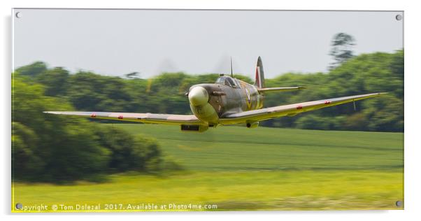 Lowdown Spitfire  Acrylic by Tom Dolezal