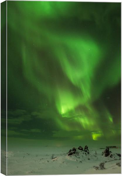 Aurora Borealis or Northern Lights. Canvas Print by Natures' Canvas: Wall Art  & Prints by Andy Astbury
