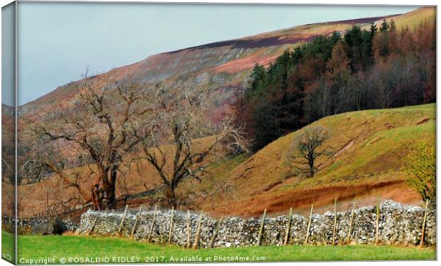 "Colours of the moors" Canvas Print by ROS RIDLEY