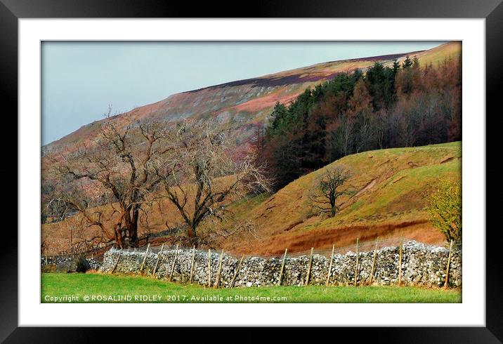 "Colours of the moors" Framed Mounted Print by ROS RIDLEY
