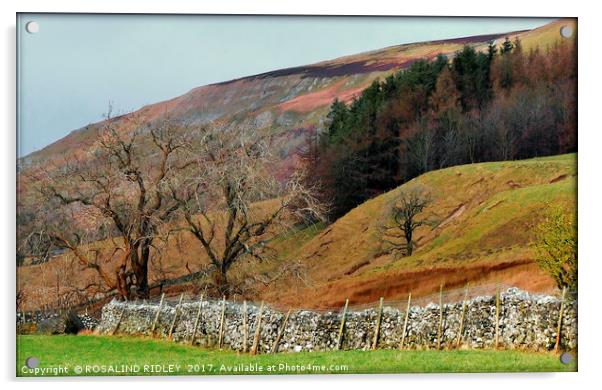 "Colours of the moors" Acrylic by ROS RIDLEY