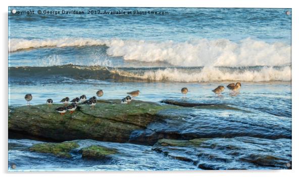 Sandpipers Acrylic by George Davidson