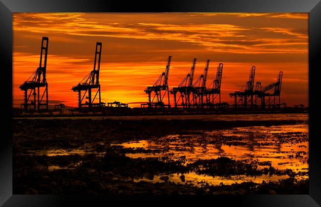 Sunset At The Port Of  Felixstowe Framed Print by Darren Burroughs